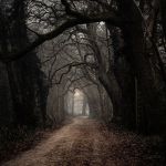 Nel tepore dei crepuscoli