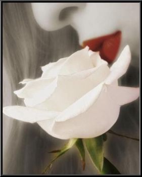 -Al di l� del Ponte-  