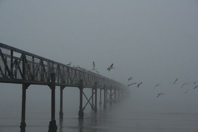 Sensazioni instabili