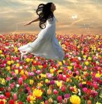 Il segreto della felicit�