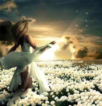 Mi sono persa... in te  