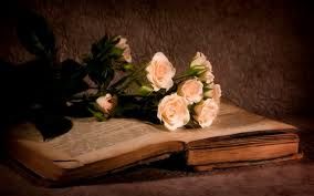 Suonami d'amore stasera