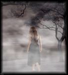 Ti cerco nella nebbia  