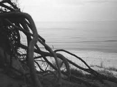 Quando non torna l'eco  