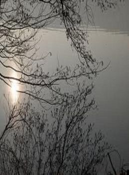 Riflesso di pensiero