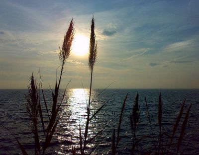 Dove muoiono le parole