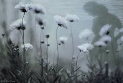 Gocce di rugiada sotto le ciglia  