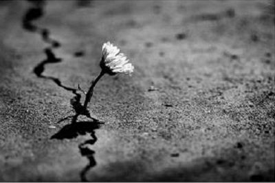 In un abbraccio d'occhi, T'amai per sempre