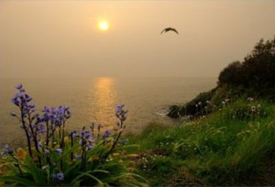 Crisalidi d'emozioni