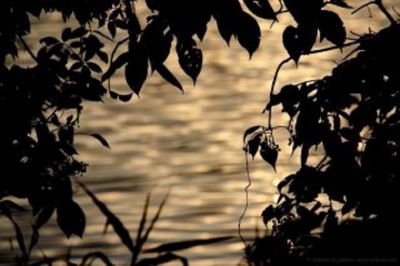 Quando il silenzio � molto pi� delle parole