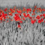 Dell'aquilone... mi � rimasto il filo