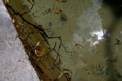 Quando vince la paura