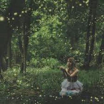 Si � accesa la notte