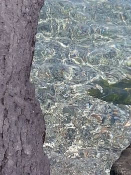 Desiderarti e morire