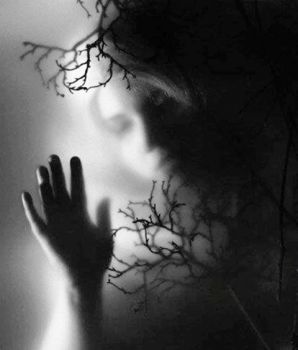 Dove so che mi senti