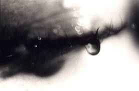 Nostalgia di un sogno