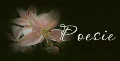 Scusate stiamo scrivendo  