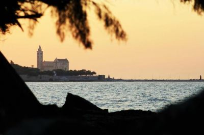 Fruga per non odiarti