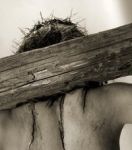 Il giorno � cenere