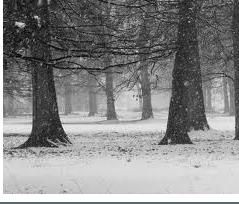 La luce del tuo respiro