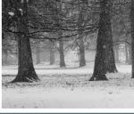 La luce del tuo respiro