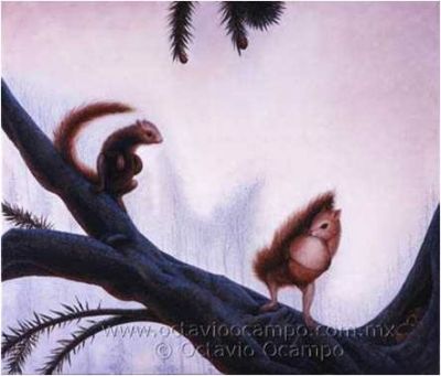 Il cielo in una donna  