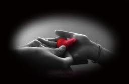 Un canestro di emozioni