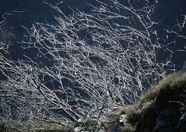 Evoluzione di un rapporto (due tempi)