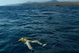 Insensibilit�, aridit� delle coscienze