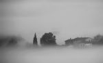 Nebbia