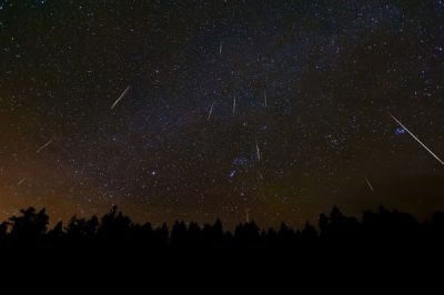 Una notte di dicembre