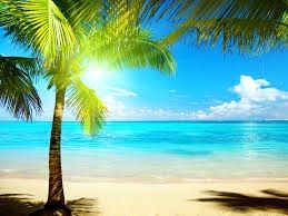 Contemplazione del poeta