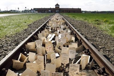 Continueremo a lottare