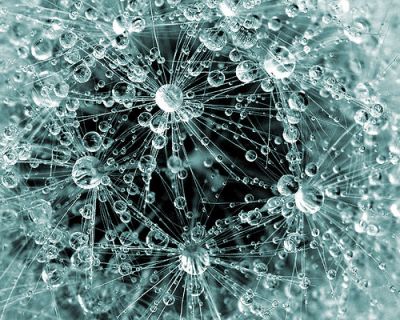 La tua voce di cristallo