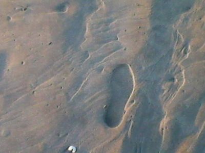 Come Libro nel vento delle ore