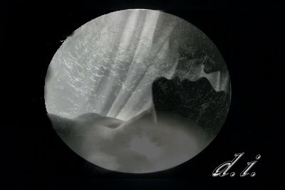 Oh meraviglia di luna dentro il pozzo!