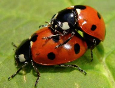 Noi, su di noi capovolti