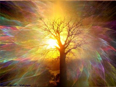 L'alba frantumò la luce