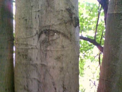 Tu la quarta dimensione (o dello spazio tempo)