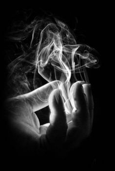 Nel regno degli anonimi