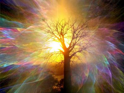 Decisamente fuori tema