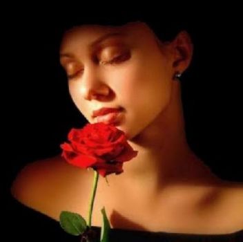 E' tornata a fiorire la rosa