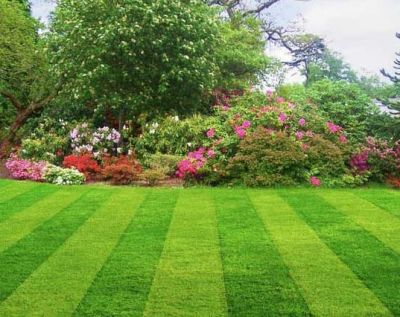 Sei tu la mia vera pace