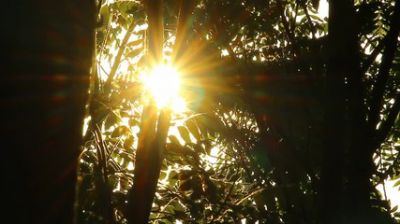 Non ci azzecca nulla... e sorrido