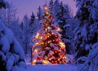 Aspettando il Natale