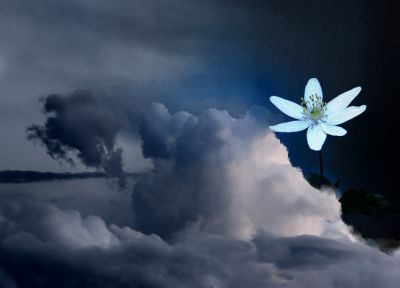 Sola col mio pensiero d'amore