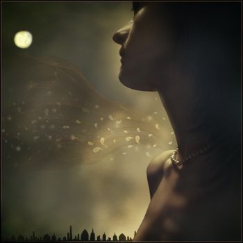 Sia la notte la terra dei tuoi passi leggeri