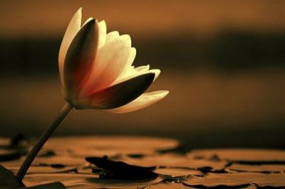 All'improvviso un verso