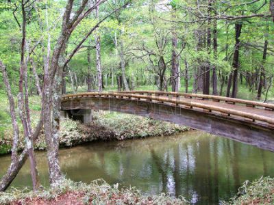 Cos� una sera parl� la solitudine (2)