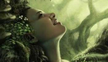 Quando si ama un albero una casa un uomo